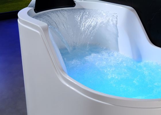 La baignoire à massage unique acrylique Ladodo 8 Whirlpool Jets Spa Douche à vapeur
